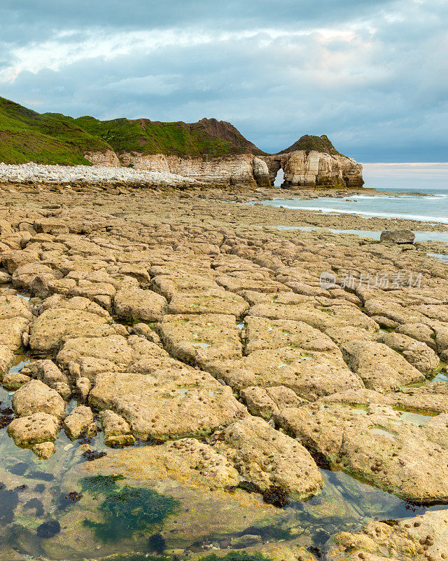 Thornwick湾，Flamborough Head，约克郡